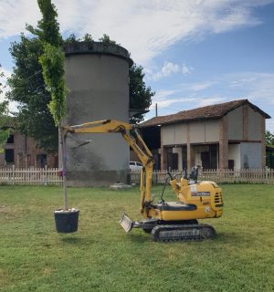 IMG-20240417-WA0021 Casasco e Vismara aree verdi giardinaggio